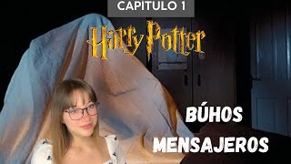 Audiolibro  Harry Potter y el Prisionero de Azkaban  Capítulo 1 [upl. by Nnaylloh]