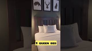 1800 Room Tour At Great Wolf Lodge Manteca California  annasworld [upl. by Yrdnal]