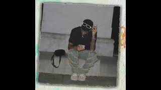 Voy hacerme ricoBreezy Palm oficialMusic [upl. by Gitt]