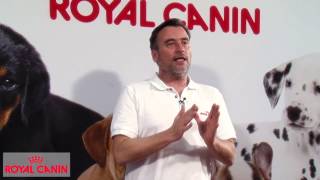 Cómo habituar a un perro a quedarse solo  Educación canina Royal Canin [upl. by Herb]