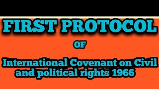 First Protocol of ICCPR 1966 [upl. by Kehr]