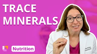 Trace Minerals  Nutrition Education for Nursing Students  LevelUpRN [upl. by Ahoufe]