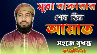 surah bakarar sesh 2 ayat  সূরা বাকারার শেষ দুই আয়াত  ঘুমানোর পূর্বে ১ বার হলেও পড়ে নিন [upl. by Adnoel800]