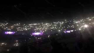 FANs for VIRTUSPRO in Spodek Arena IEM Katowice 2016 [upl. by Novihs]