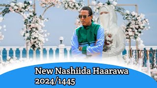 New Nashiida Haarawa Ustaz Anas Mohammed 20241445best nashiida afaan Oromoo 2024 [upl. by Soisinoid]