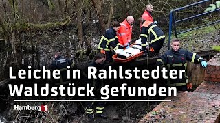 Schrecklicher Fund in Rahlstedt  Passanten finden Leiche im Bach [upl. by Wieren705]