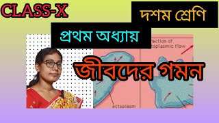 CLASS  X💥দশম শ্রেণি প্রথম অধ্যায়📚 Movement ⛹️ in bangla 💯🔥 [upl. by Tema874]