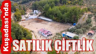 Kuşadasında Satılık Çiftlik  Satılık Küçükbaş Çiftlik [upl. by Niccolo658]