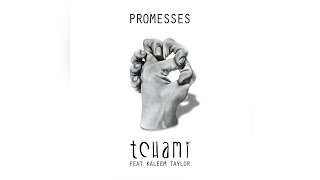 Tchami  Promesses feat Kaleem Taylor Calyx amp TeeBee Remix [upl. by Nylimaj]