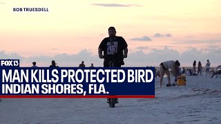 Man riding scooter kills protected shorebird [upl. by Avir]