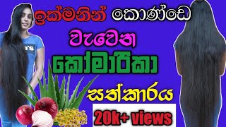 Hair treatment for girls by aloe vera  long hair in one yearsinhala [upl. by Bud727]