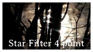 Lumix FZ2000  FZ2500  Star Filter 4 point  Sternfilter 4fach  BlackandWhite Video Sample  4K [upl. by Dlarej186]