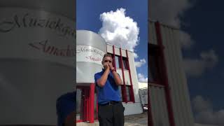 Louis Peeters speelt mondharmonica [upl. by Curzon796]