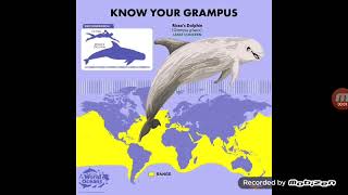 Know Your Grampus [upl. by Stirling485]