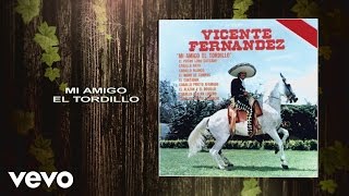 Vicente Fernández  Mi Amigo el Tordillo Cover Audio [upl. by Luiza]