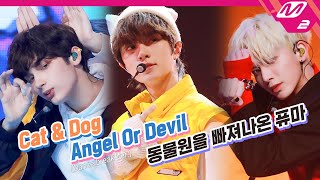 TXT 투모로우바이투게더  Cat amp Dog  Angel Or Devil  동물원을 빠져나온 퓨마  TOMORROW X TOGETHER COMEBACKSHOW [upl. by Noral]