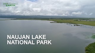 Our Fragile Earth S2E5 Naujan Lake National Park and Maulawin Spring Protected Landscape [upl. by Thorwald]