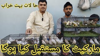 Birds Market Lalukhet Sunday Video Latest Update 10324 in Urdu [upl. by Ideih]