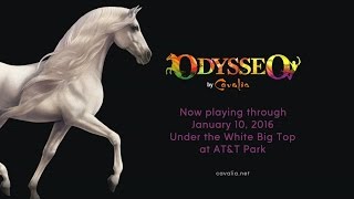 ABC7 Presents Discover Odysseo by Cavalia [upl. by Kyne6]