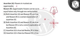 Assertion A Flowers in mustard are zygomorphicReason R Zygomorphic flowers can be cut in [upl. by Darcy]