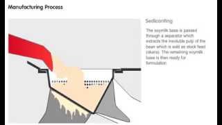 The Soy Process  Vitasoy Soymilk production [upl. by Leorsiy]