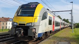 Trains un peu partout en Wallonie  BONUS et klaxons [upl. by Reffinej2]