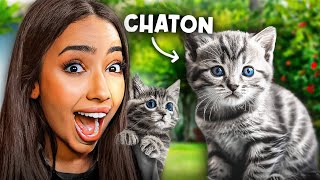 JAI ADOPTÉ UN CHATON  ouii vraiment 🥺 [upl. by Paulina334]