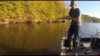 How to catch flathead catfish [upl. by Ttesil]