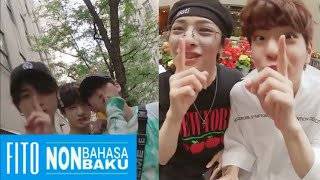 Indo STRAY KIDS  INSOMNIA Non Baku Ver [upl. by Ahsie]