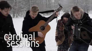 Skinny Lister  Lets Get Wasted Wild As The Wind Blows  CARDINAL SESSIONS [upl. by Glassco]