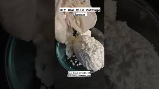 DIY Raw Milk Cottage Cheese Made With Clabbered Milk Naturally Cultured [upl. by Barra75]