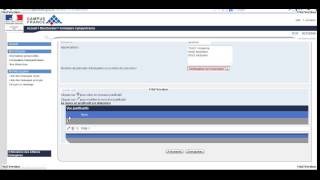 Saisie du Formulaire Campus France Compte PASTEL Diplomatie PART 01 [upl. by Sanbo]