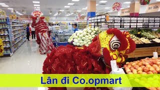 Múa lân  Lân hái lộc ở Coopmart Bình Thủy Cần Thơ  Mekong today [upl. by Hahcim]