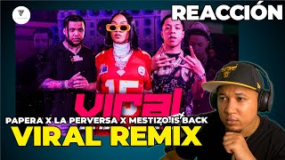 REACCIÓN a VIRAL REMIX  Papera X La Perversa X Mestizo Is Back X El Baby R Video Oficial [upl. by Aynatal]