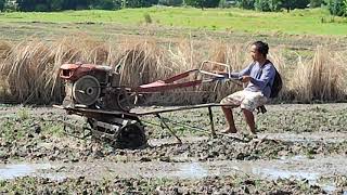 Ploughing the rice Field Philippines [upl. by Enilrad]