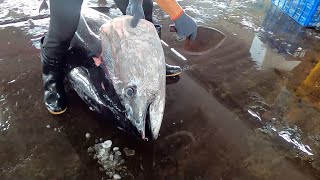 How to remove a 30kg giant fish head in 5 seconds [upl. by Conall]