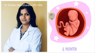 6th Month of Pregnancy in Kannada  21 to 25 weeks of Pregnancy  Dr Sindhu Ravishankar [upl. by Oletta269]