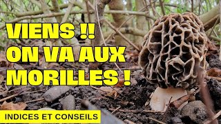 Sortie aux morilles elles arrivent  morilles 2023 [upl. by Nabal]