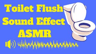 Toilet Flush Sound Effect Relaxation and ASMR [upl. by Seftton30]