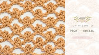 How To Crochet The Picot Trellis Stitch  Easy Tutorial by Hopeful Honey [upl. by Enirehtakyram]