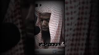 Sheikh Okasha kameny [upl. by Annayat]