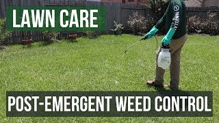 PostEmergent Weed Control A Lawn Care Guide [upl. by Maryanne]