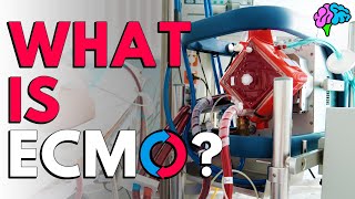 What is ECMO The basics explained [upl. by Leone]