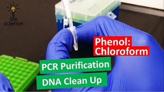 DNA Extraction  Improved PhenolChloroform Method [upl. by Naujuj]