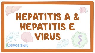 Hepatitis A and hepatitis E virus  causes symptoms diagnosis treatment pathology [upl. by Enelyaj]