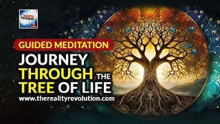 Guided Meditation  Journey Through The Tree Of Life [upl. by Naryt]