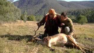 Hunting Fallow Deer First Buck Down [upl. by Halyk]