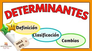 LOS DETERMINANTES Y SU CLASIFICACION ► NGLE edutuber lenguaje morfologia professor [upl. by Gellman]