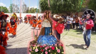 Capellanía de Loera 8 de Julio 2018 Danza Torito y Banda En la Fiesta Patronal Parte 4 [upl. by Aseram938]