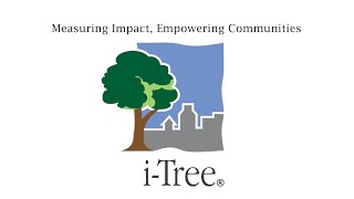 iTree  Measuring impact Empowering communities [upl. by Dorthy13]